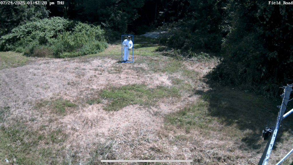 The camera's view in daylight.