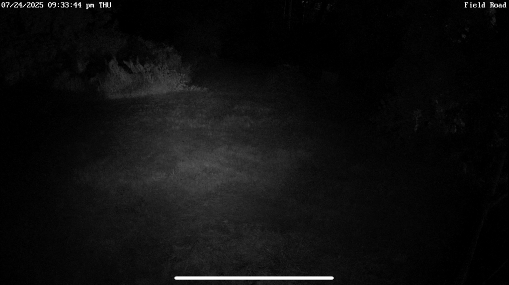 A few hours into the first test, the infrared lights seem pretty decent.  Not great, but definitely serviceable.