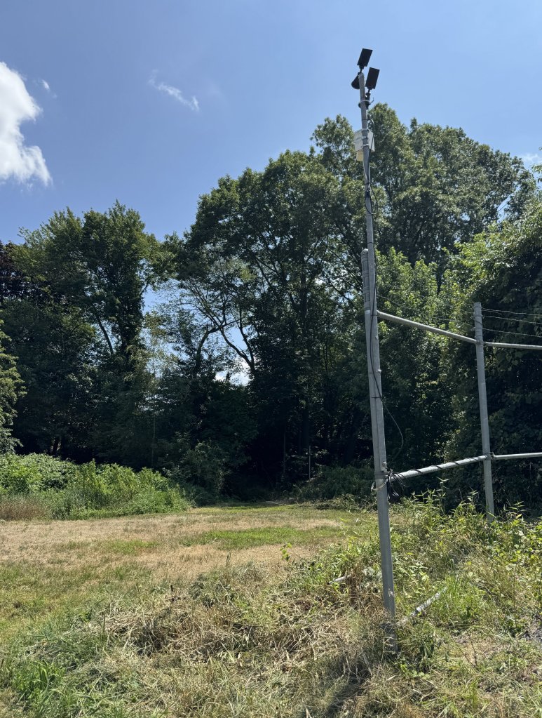 View of the lights and camera from behind, better showing the view of where they're looking.