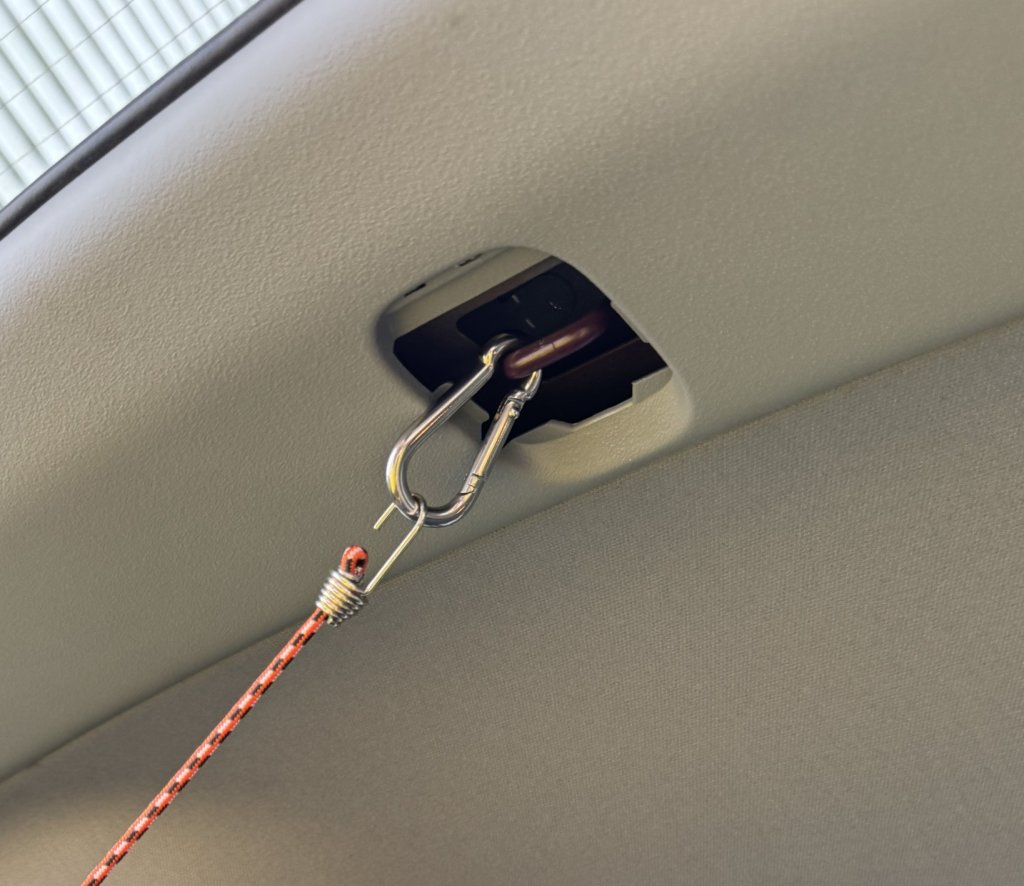 Carabiner and bungee cord for Porta-Brace lid.